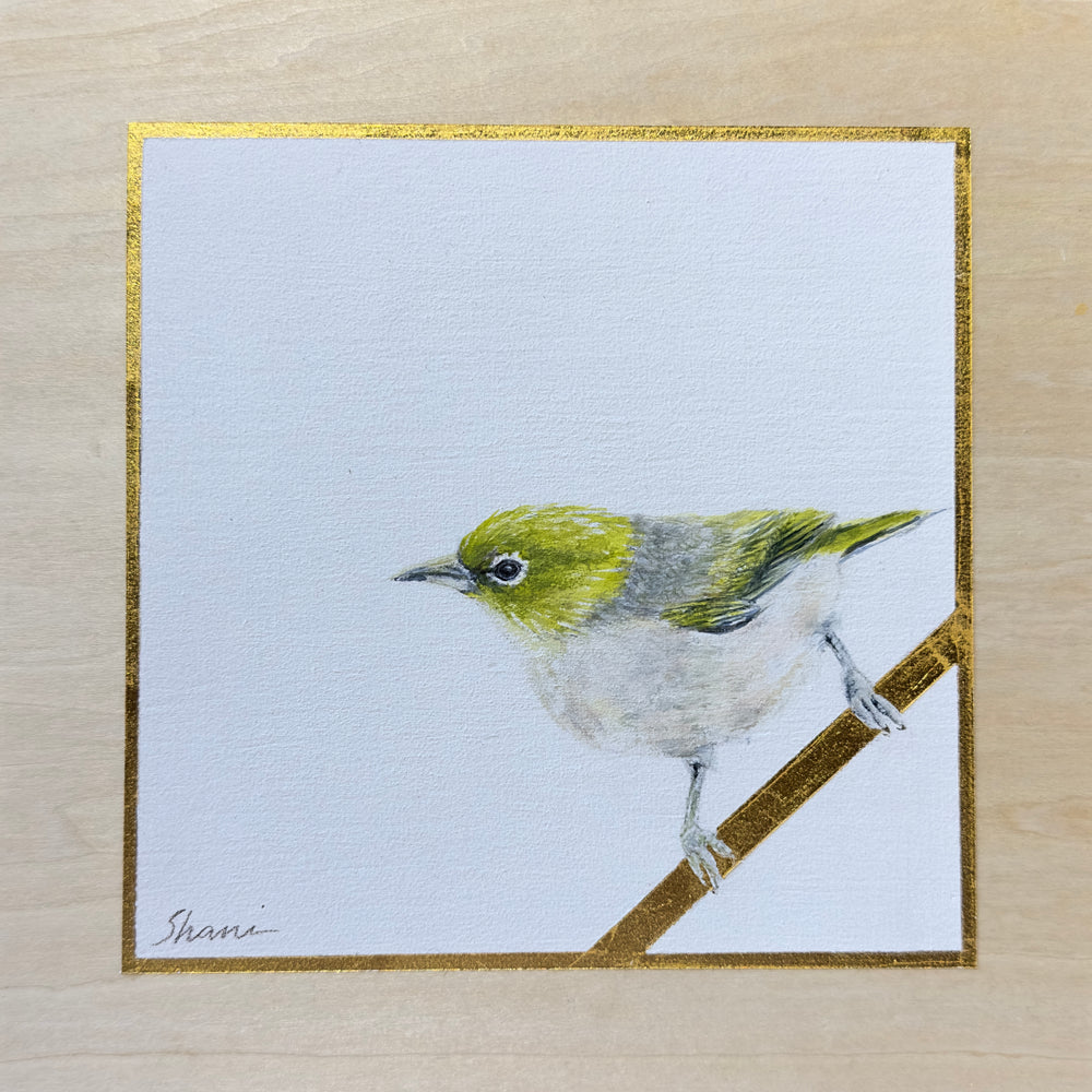 Shani White - Silver eye