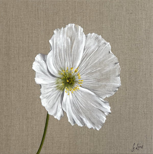 Gabi Lord - Spring Evening