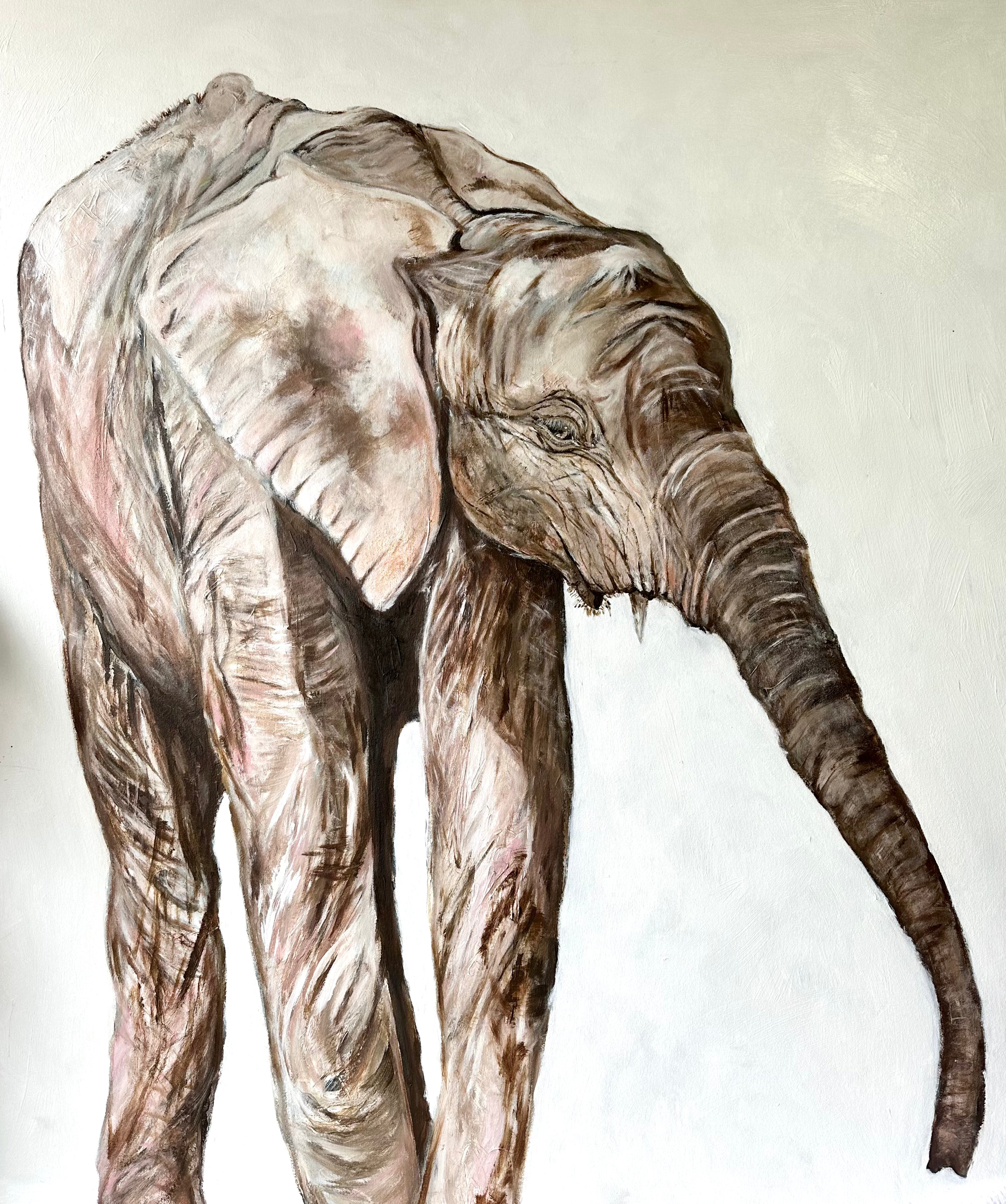 Ingrid Haughton - Baby Elephant