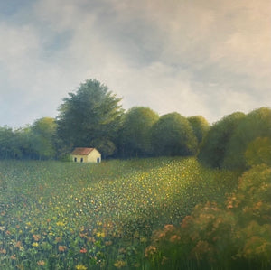 Di Crisp - Wildflower field