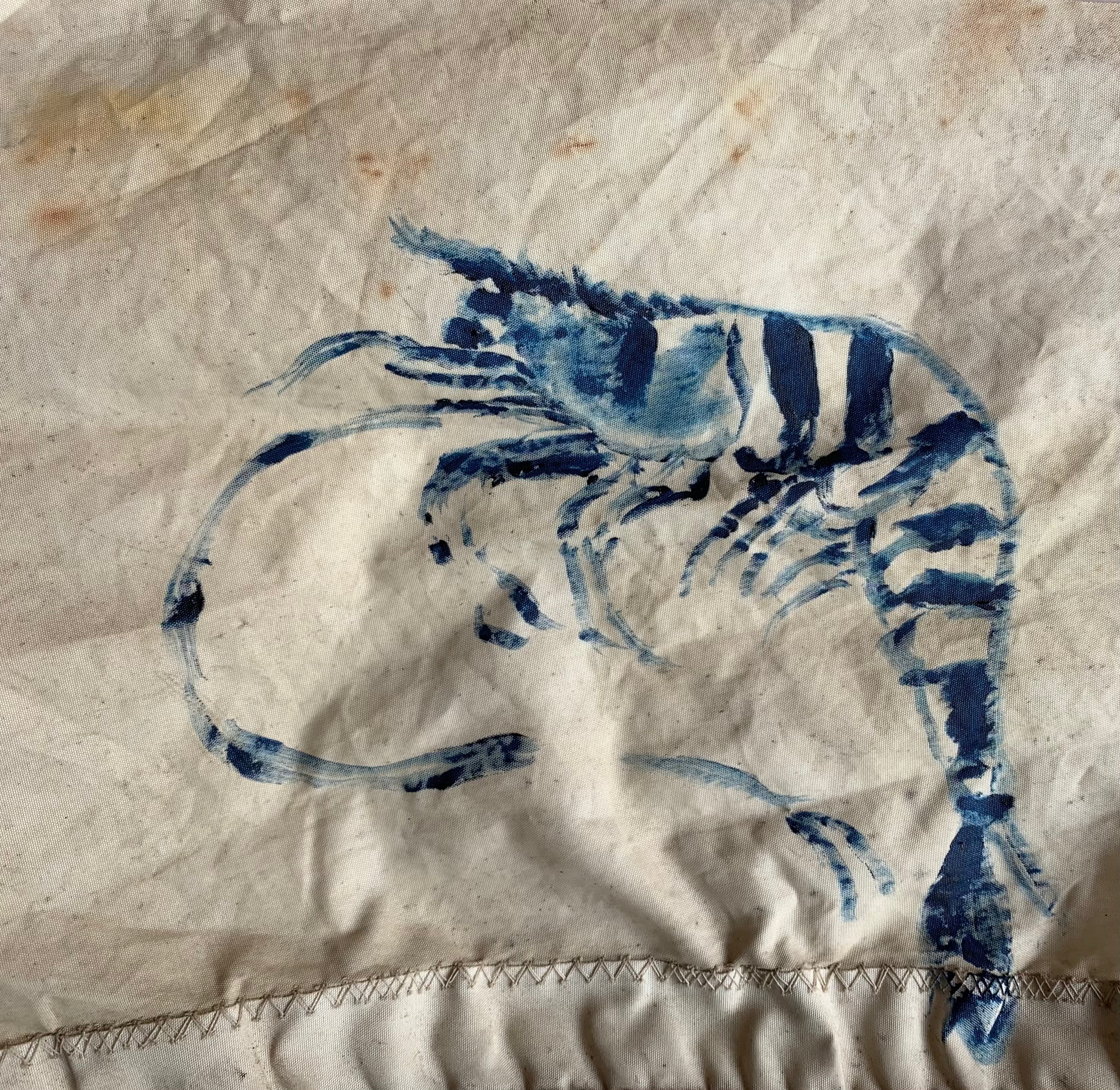 Ingrid Haughton - prawn