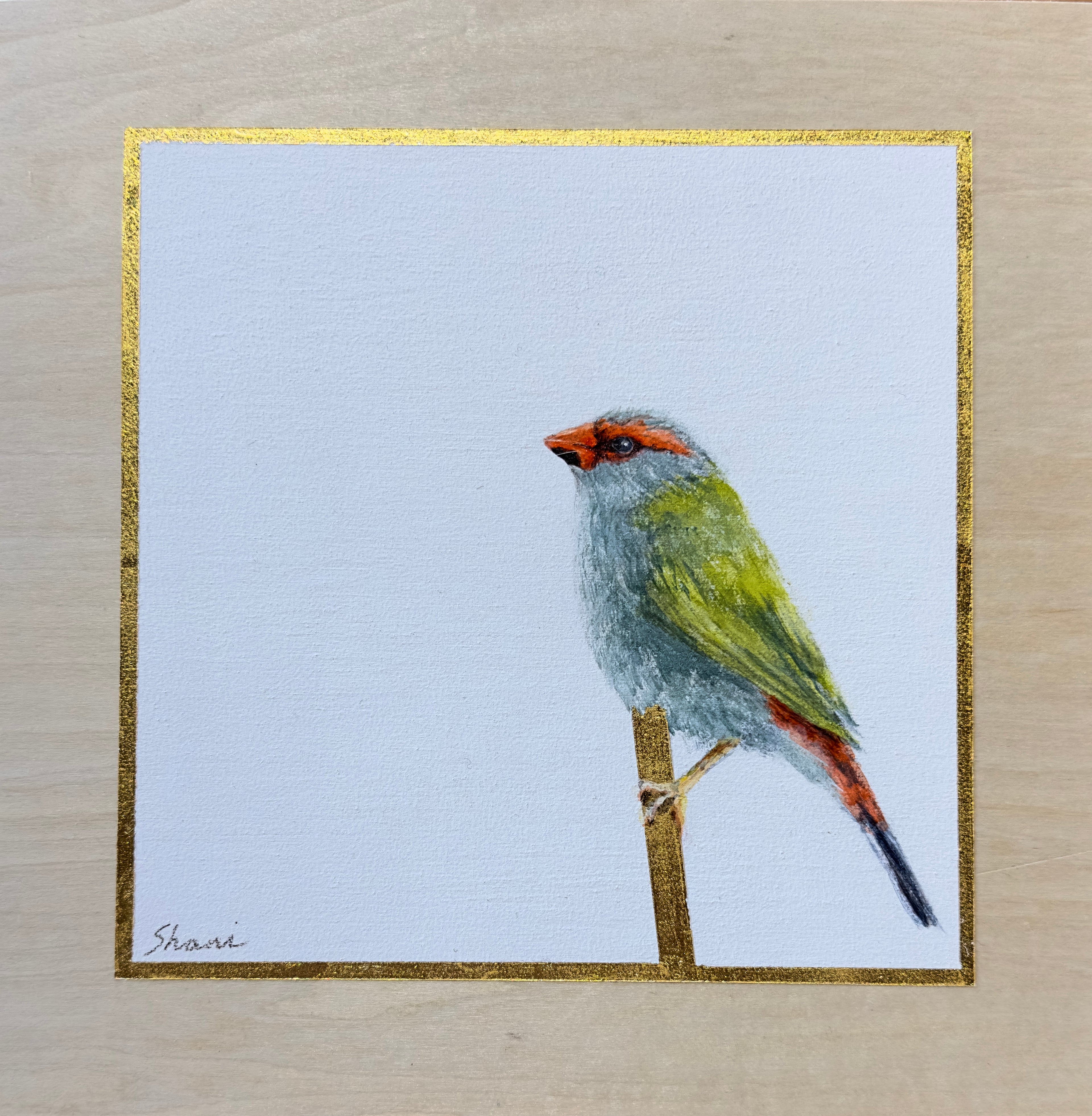 Shani White - red browned finch