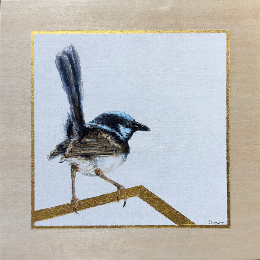 Shani White - Male Superb