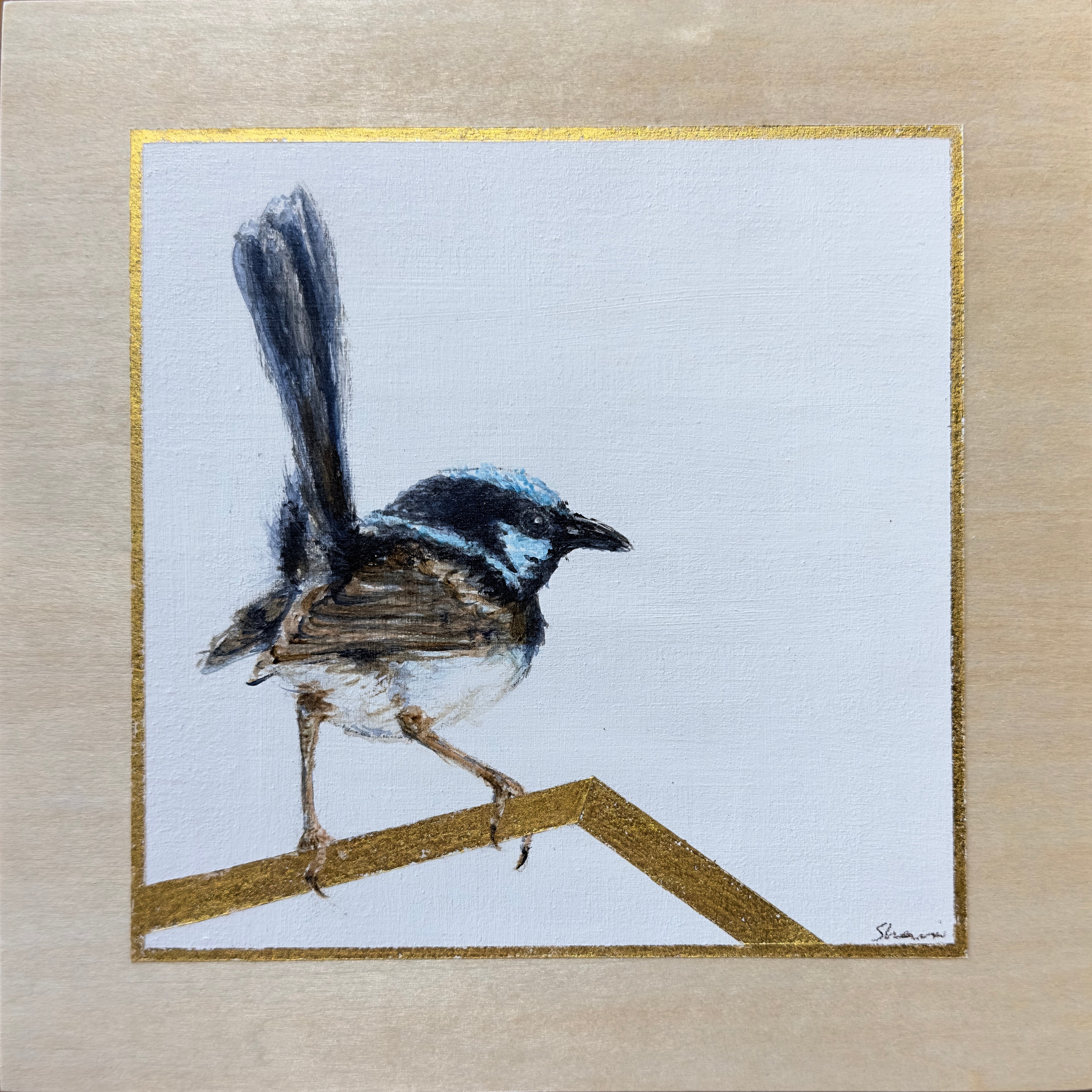 Shani White - Male Superb