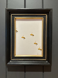 Monique Correy - Flutter