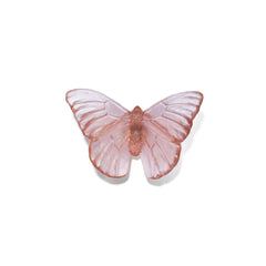 Luke Jacomb Studio - Classic Butterfly Admiral (Rose)
