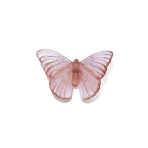 Luke Jacomb Studio - Classic Butterfly Admiral (Rose)