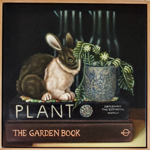 Belinda Jeanes - Curiosities