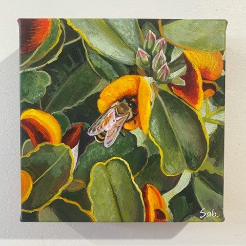 Sarah Abbott - Secret Life of Bees #5