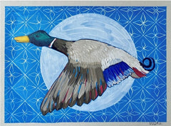 Fran Max - Midnight Mallard