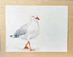 Shani White - Itty Bitty Birdy - Seagull #6