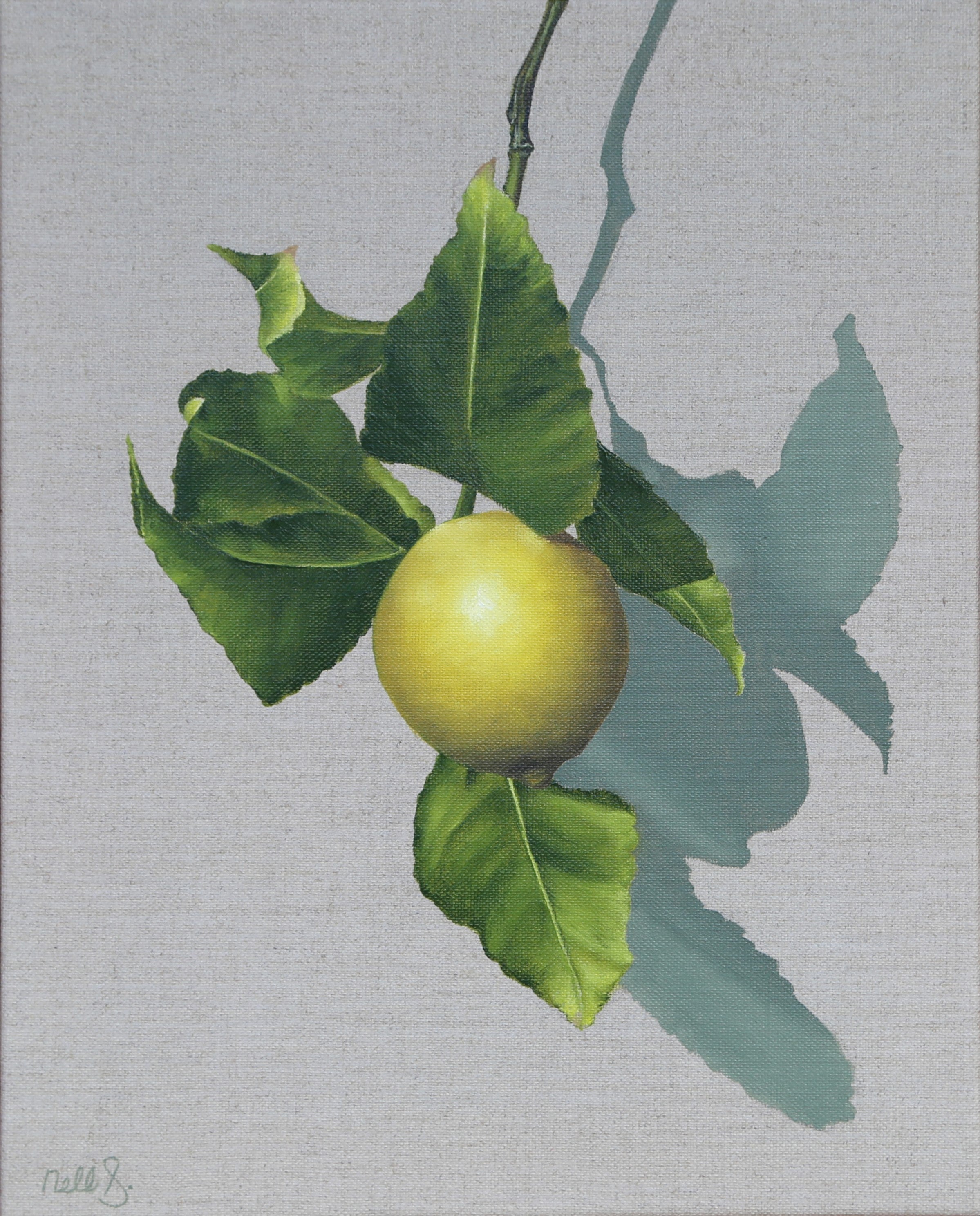 Nell Symonds - Limeuil