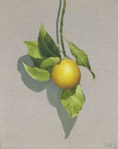 Nell Symonds - Limouges