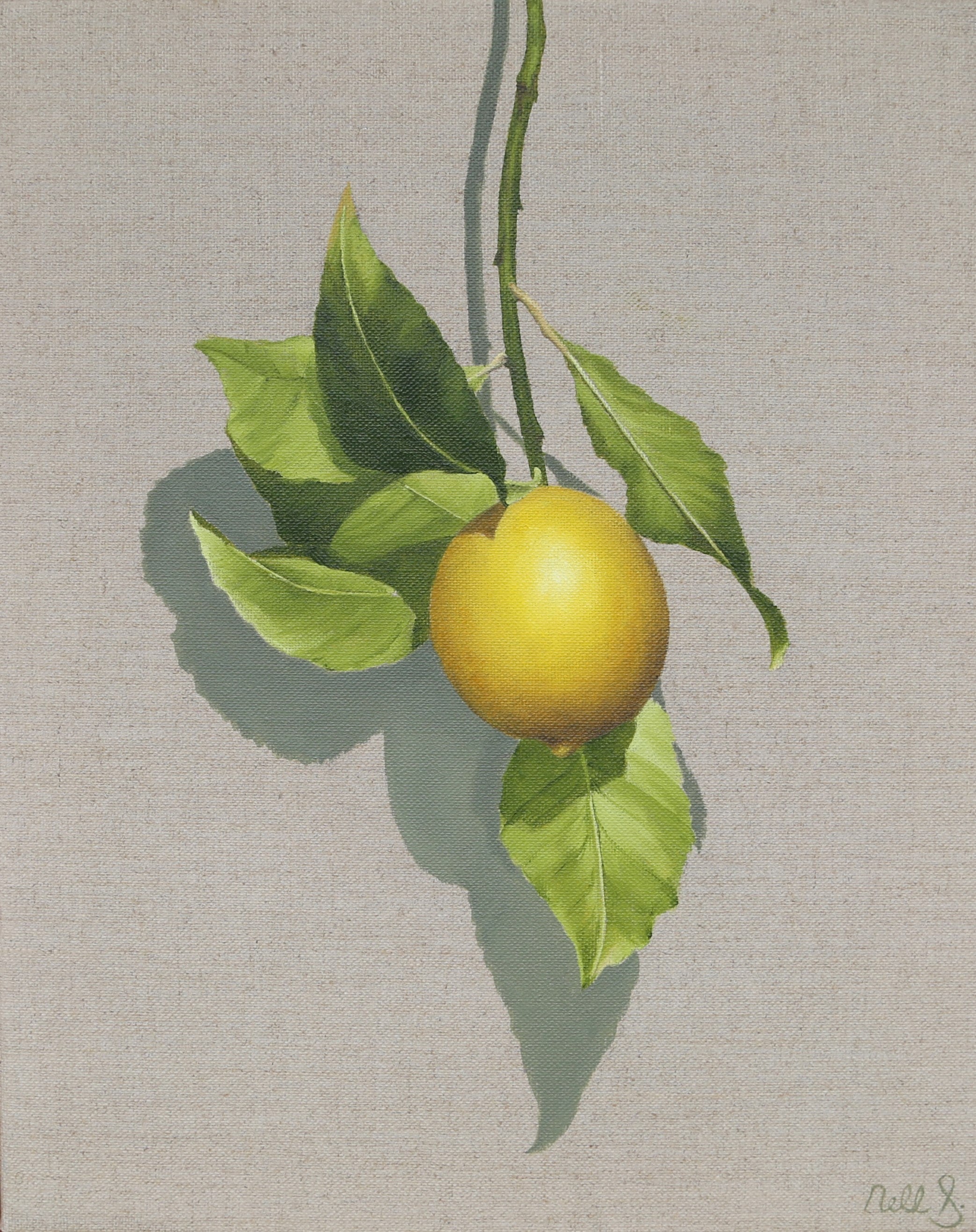 Nell Symonds - Limouges