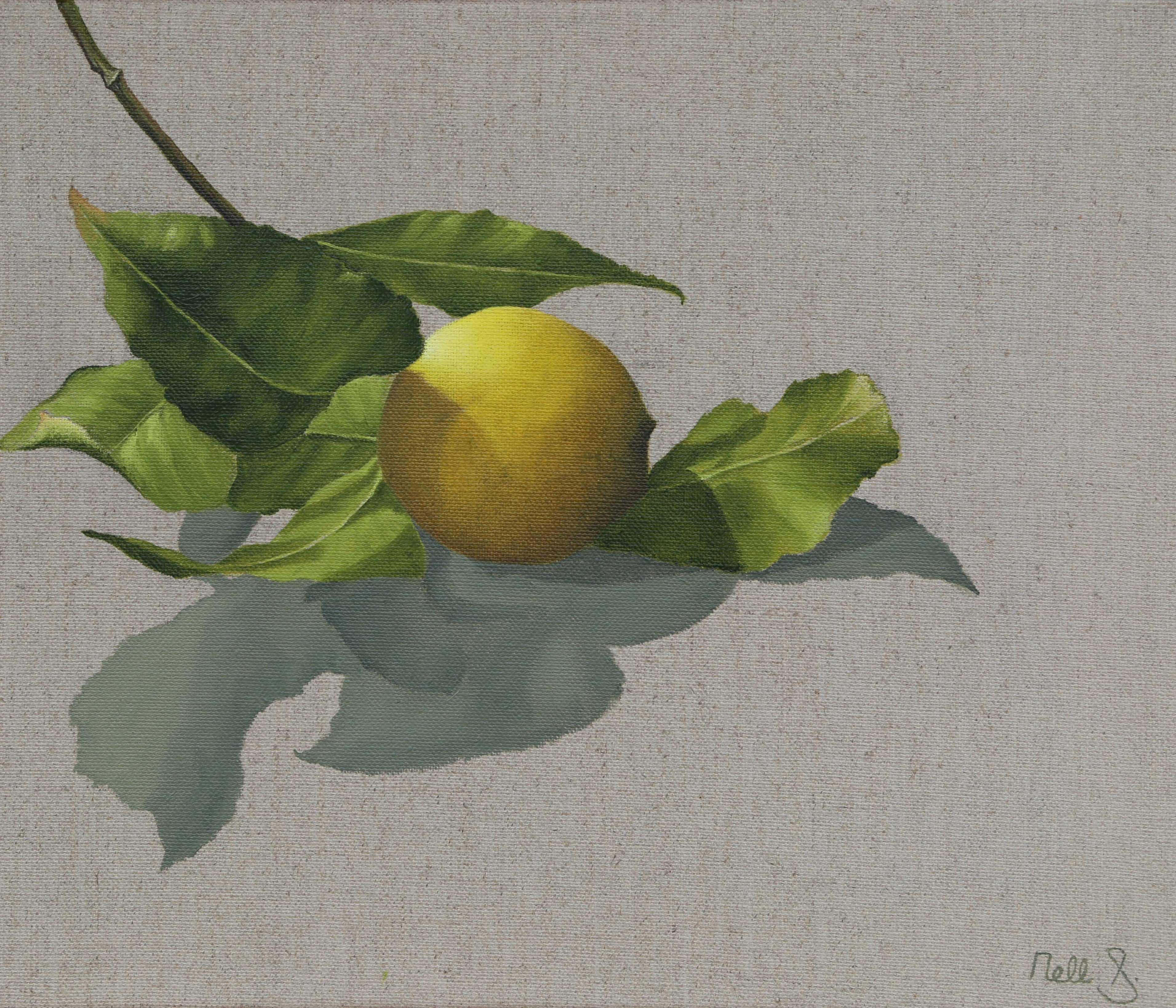 Nell Symonds - Lisieux