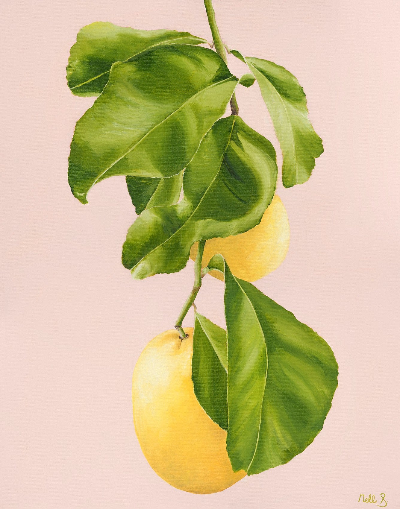 Nell Symonds - Lucia