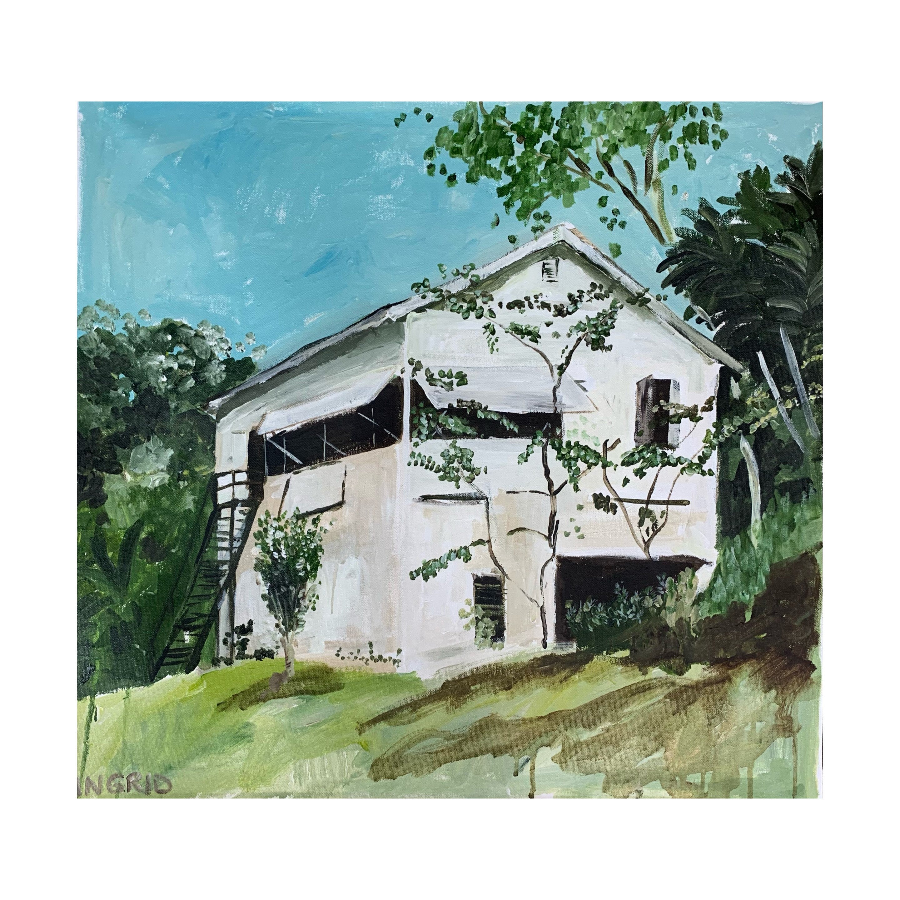 Ingrid Haughton - Our First Home, Papua New Guinea, 1949