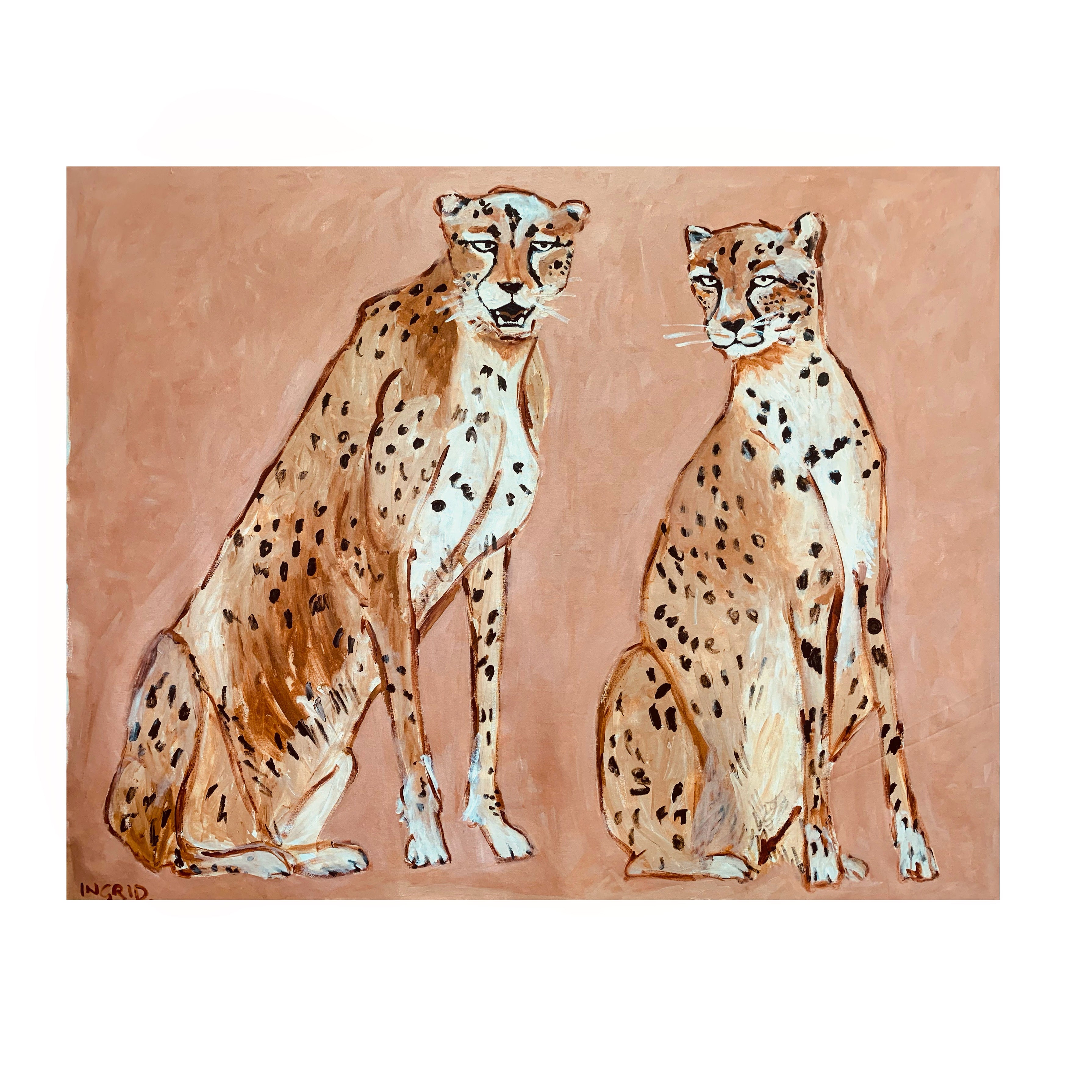 Ingrid Haughton - Cheetahs