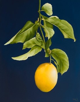 Nell Symonds - Loches