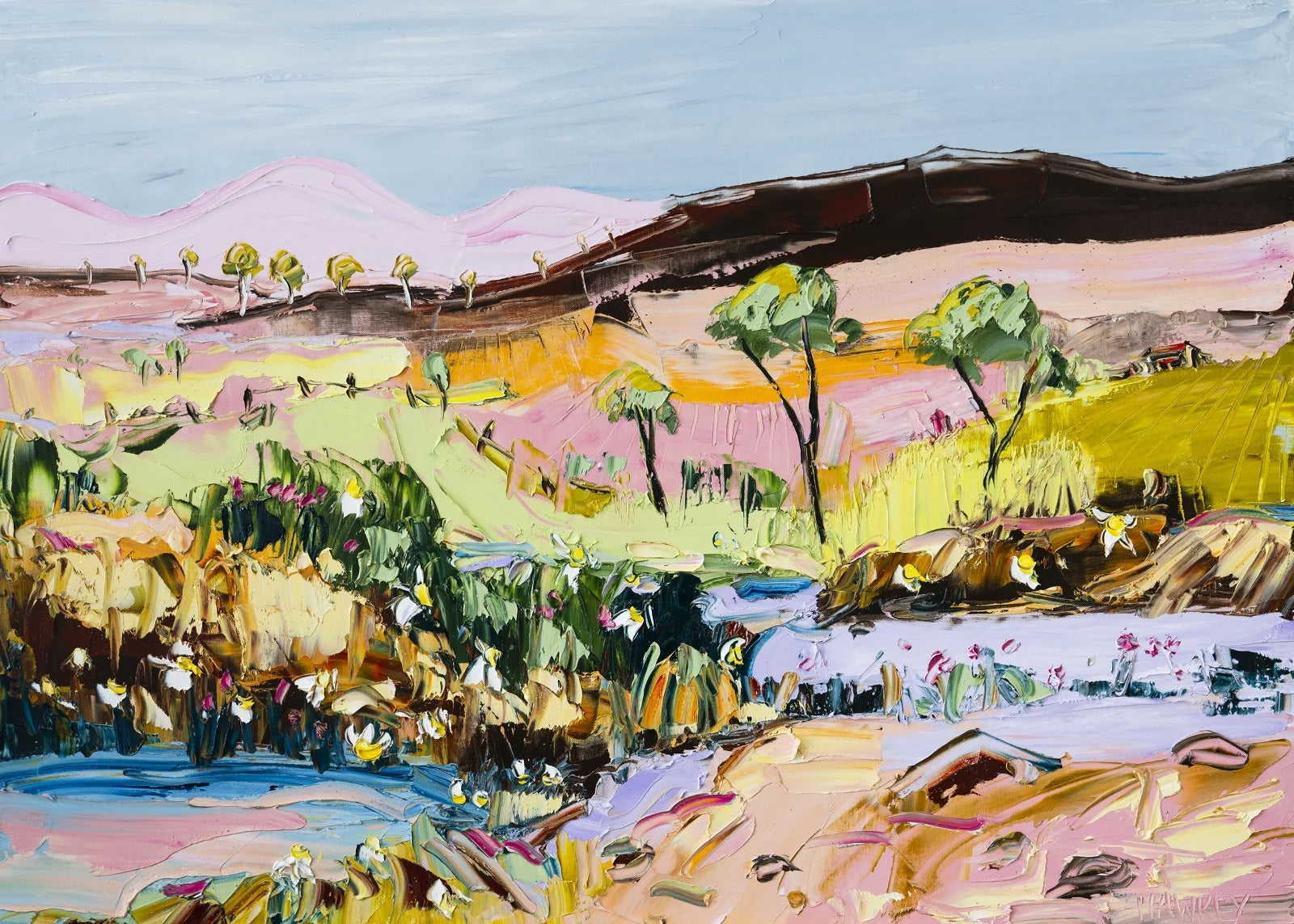 Angela Hawkey - Rainbow Fields