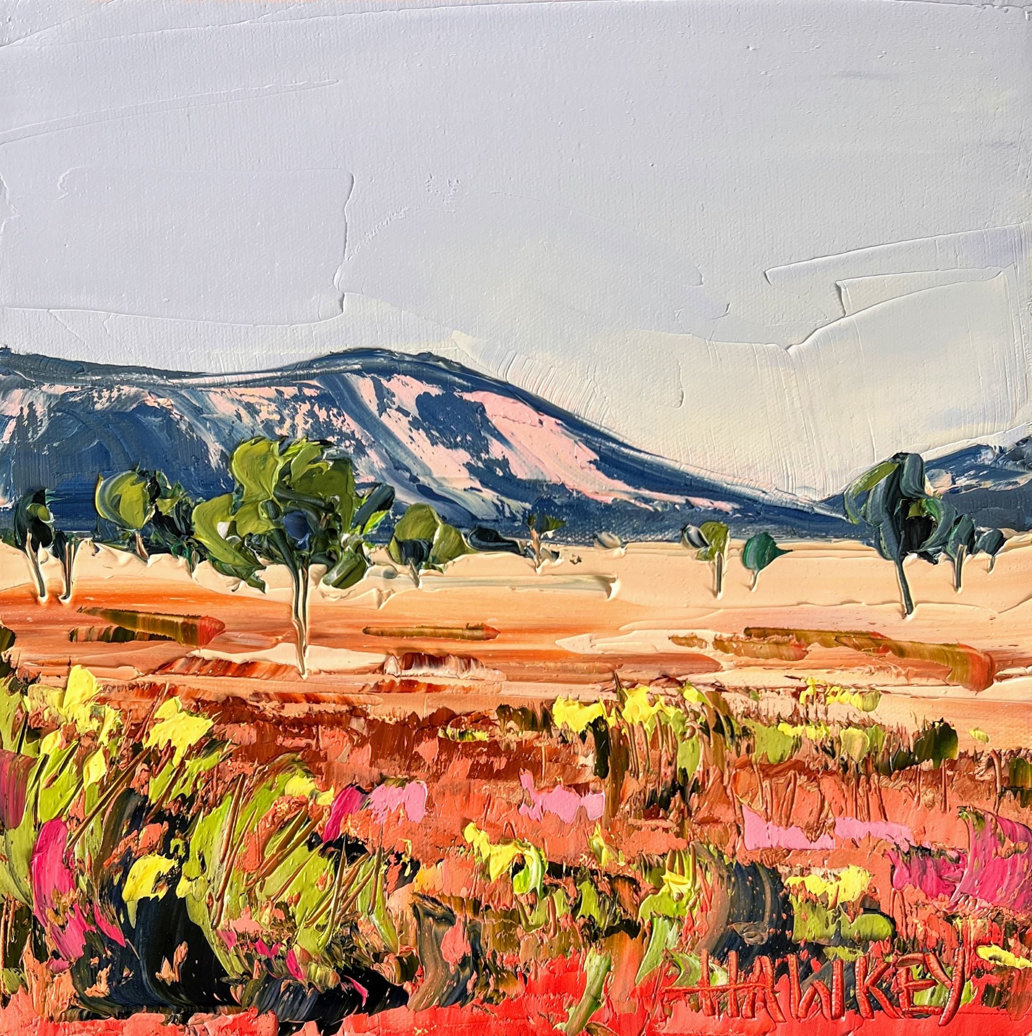 Angela Hawkey - Dry Ground