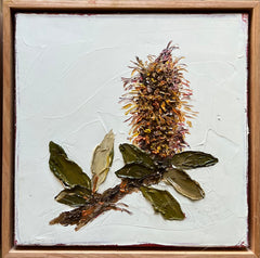 Leree Lindsay - Scraggy Banksia