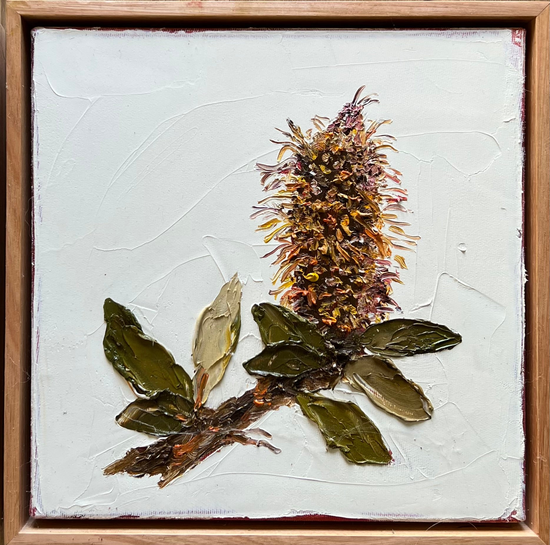 Leree Lindsay - Scraggy Banksia