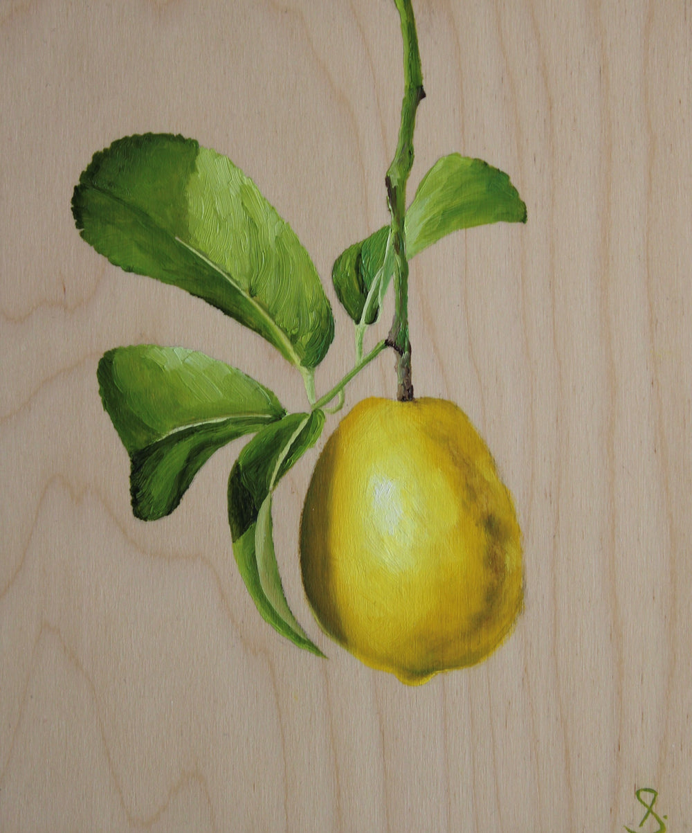 Nell Symonds - IIaria