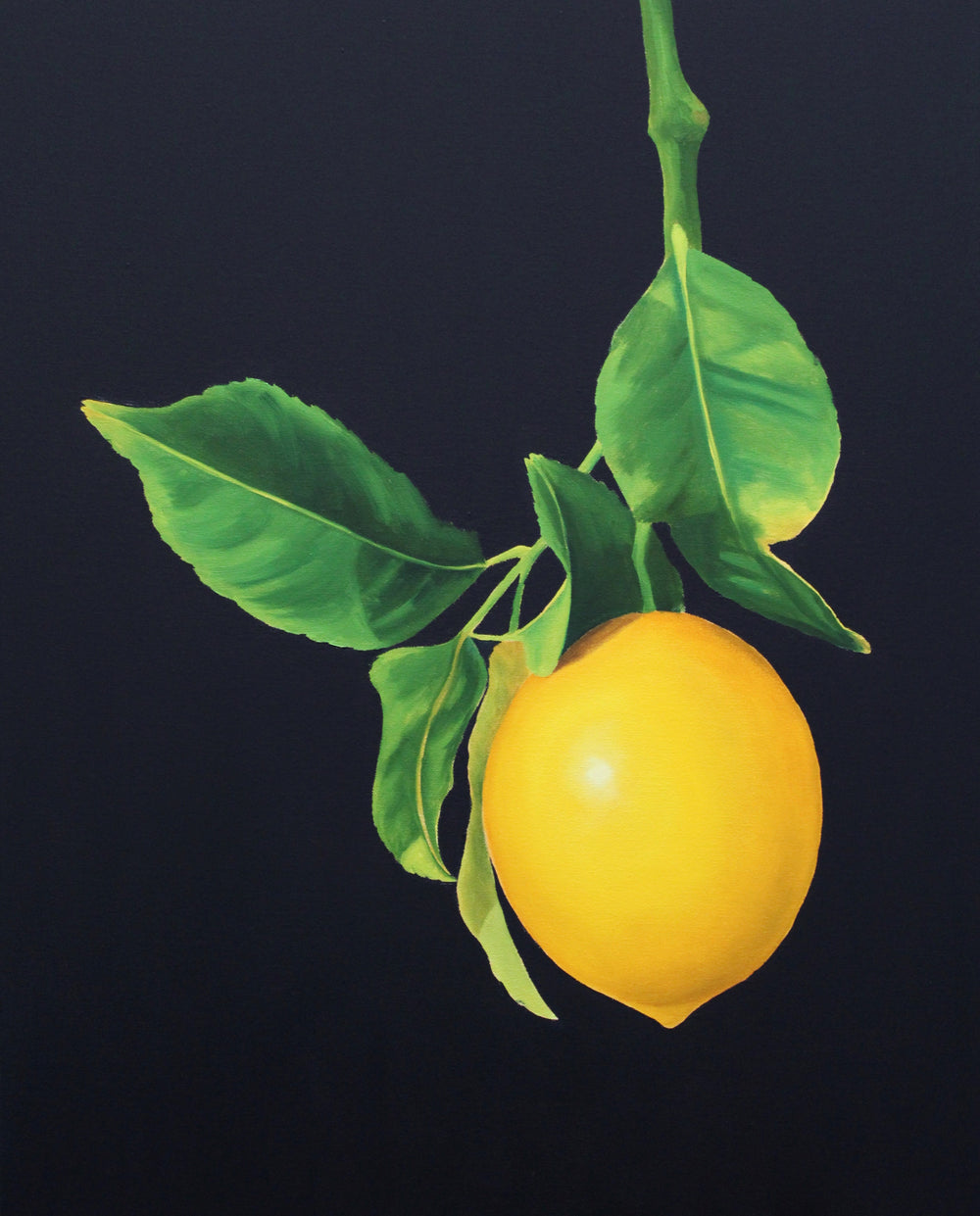 Nell Symonds - Laurito