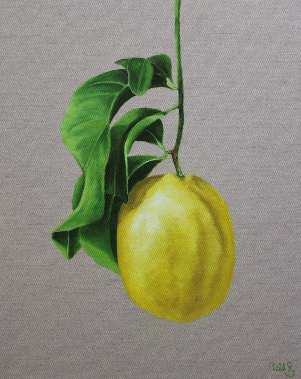 Nell Symonds - Lesina