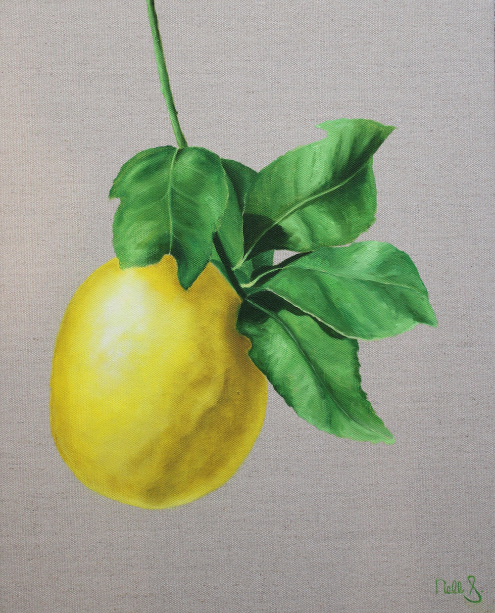 Nell Symonds - Leuca