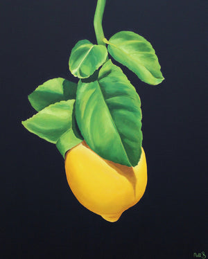 Nell Symonds - Licusati