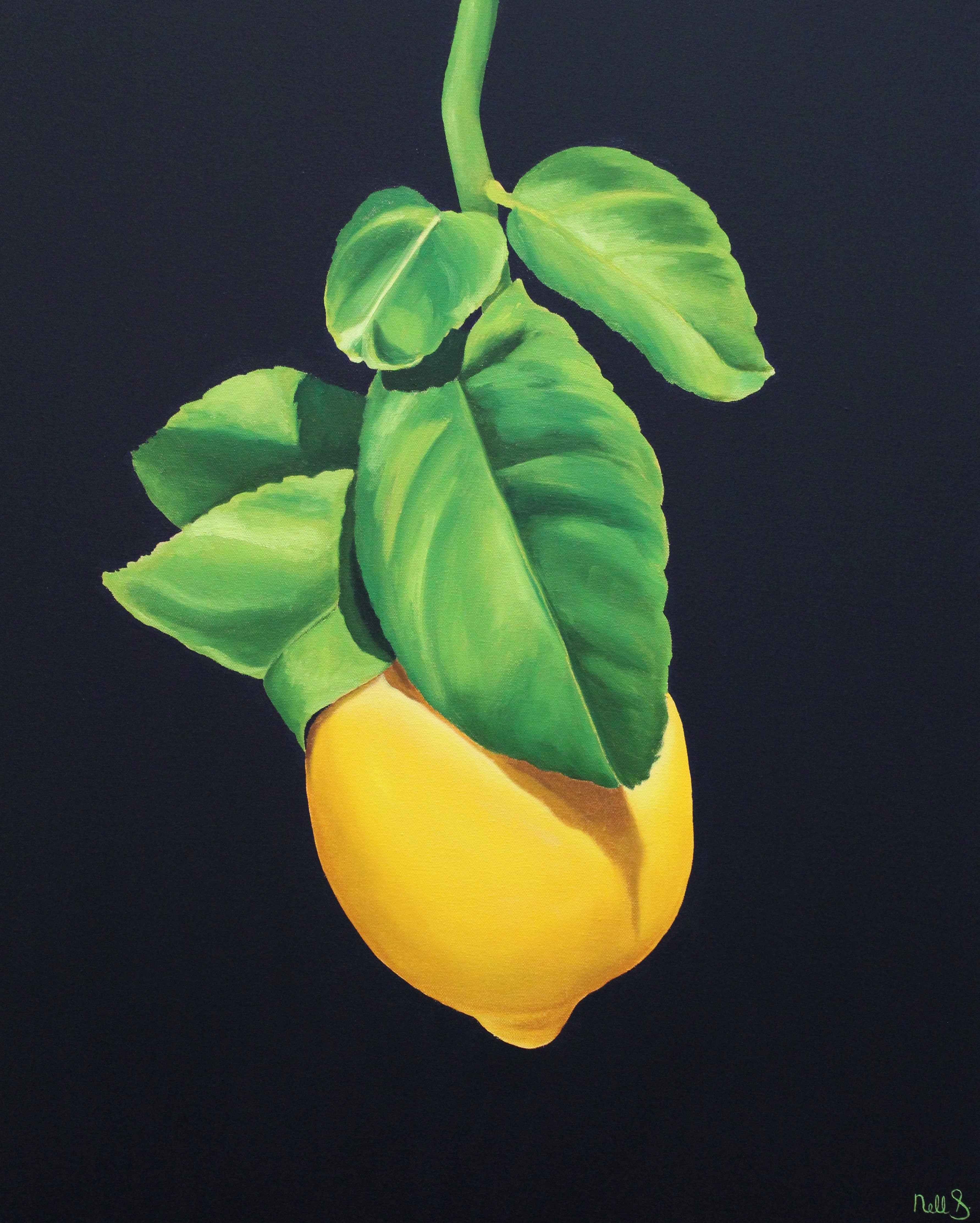 Nell Symonds - Licusati