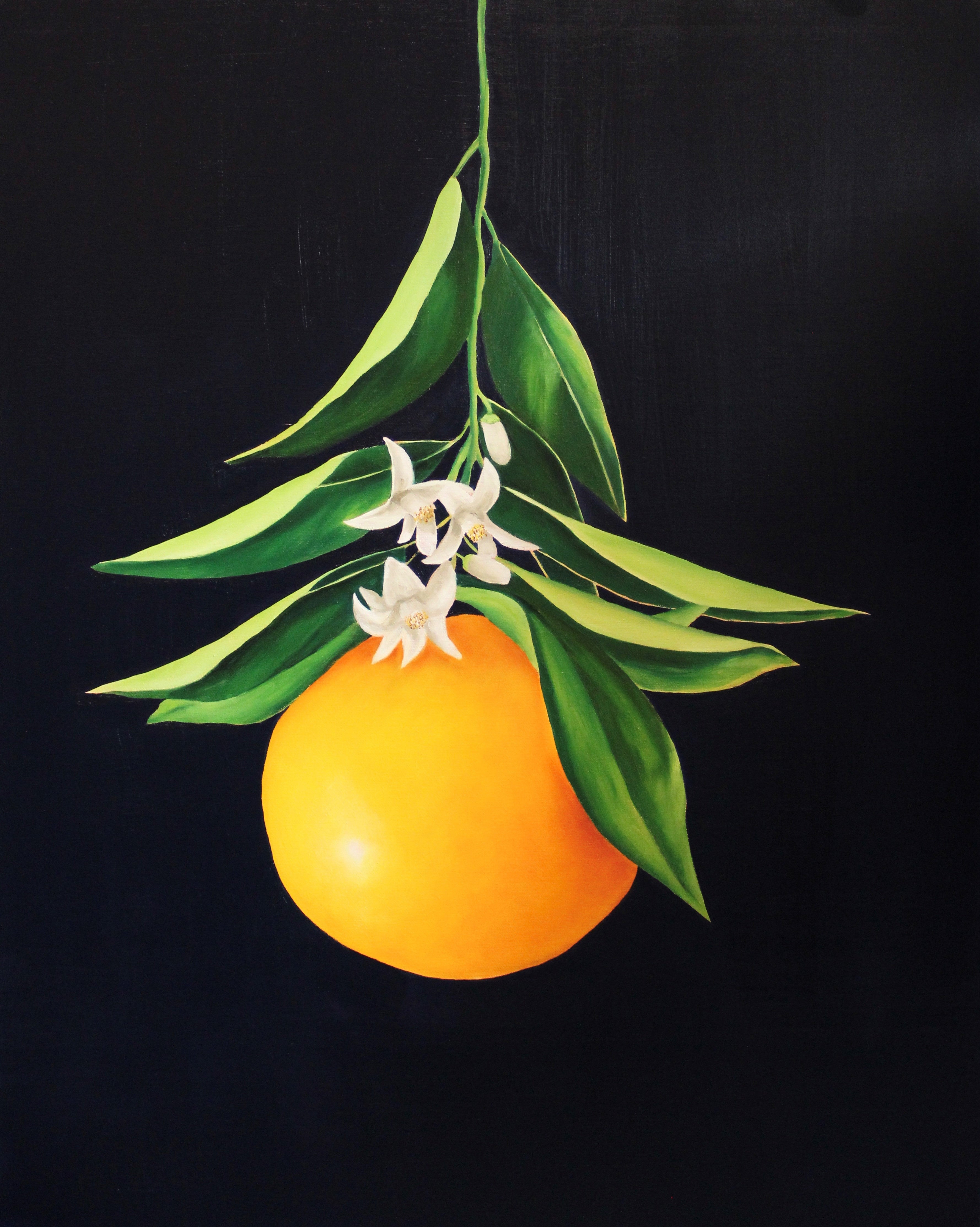 Nell Symonds - Santa Lucia