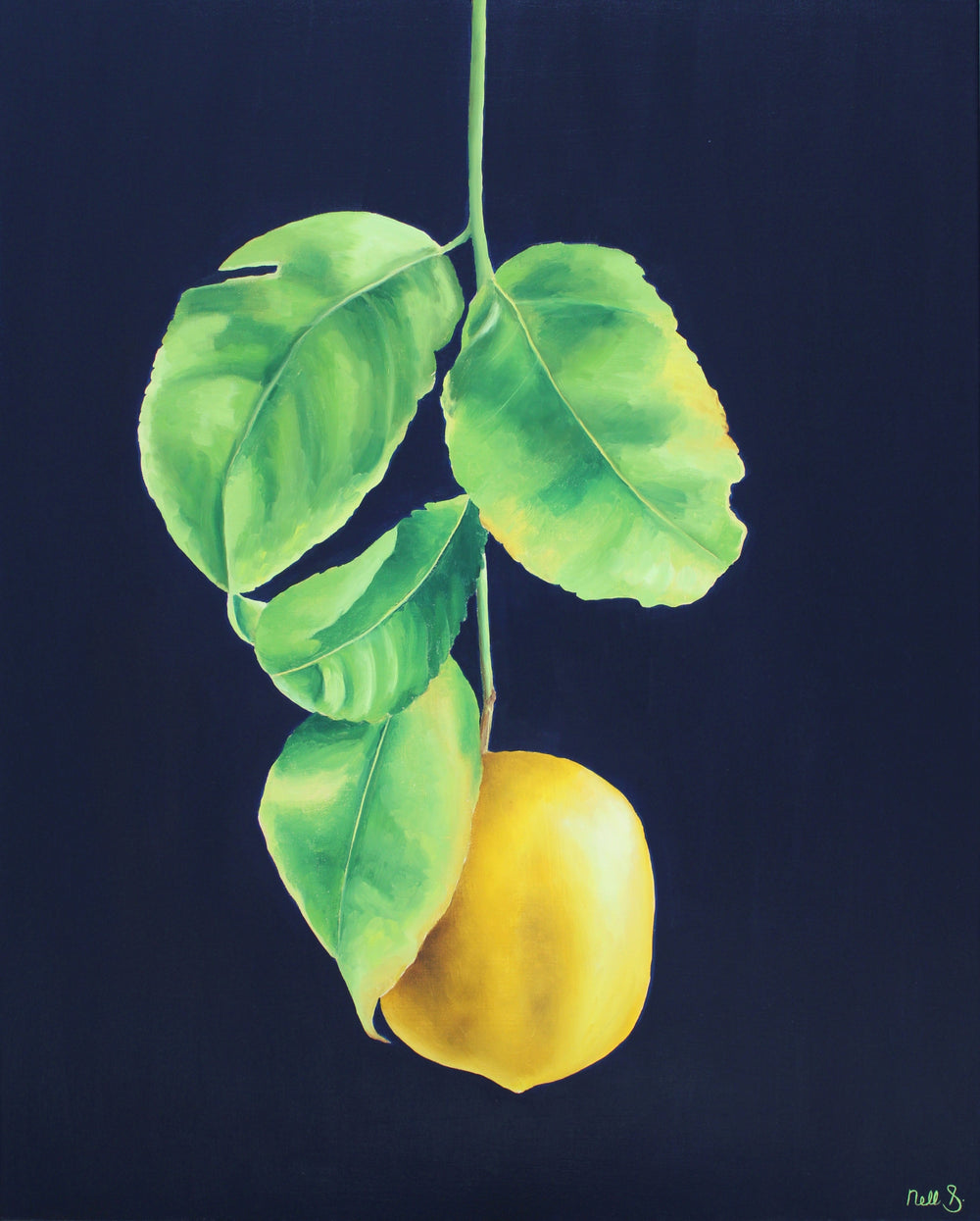 Nell Symonds - Savio