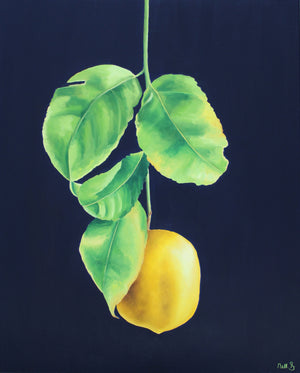 Nell Symonds - Savio