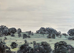 Nerida Woolley - Knockrow Hills