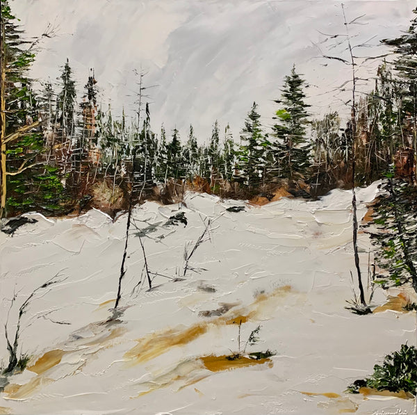 Anjana Rai - White Winter