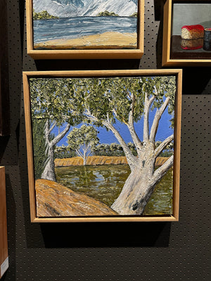 Jayde Chandler - Gregory Park waterhole