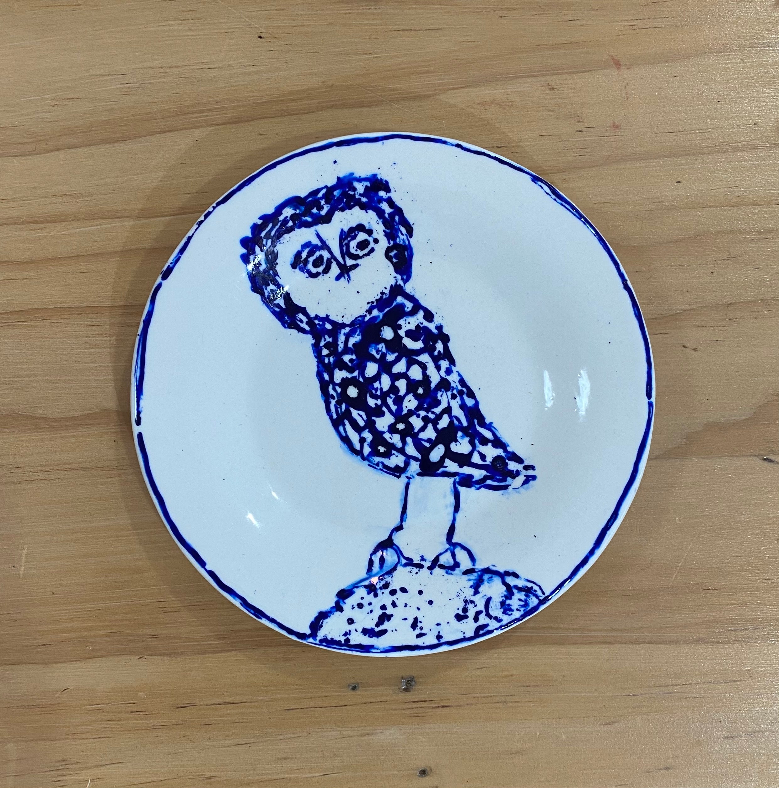 Nadia Robertson - Owl of Half Moon Bay