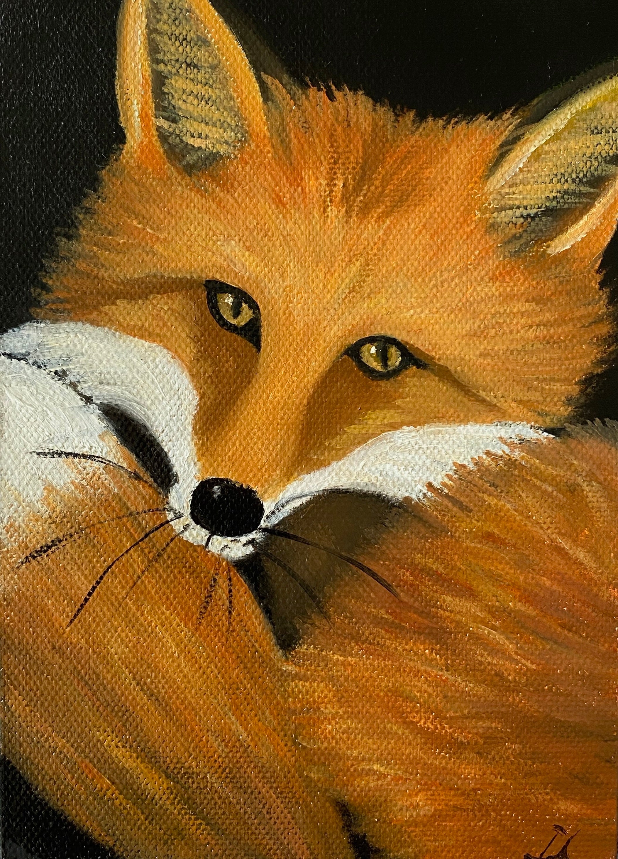 Di Crisp - Little Foxy 2