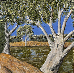 Jayde Chandler - Gregory Park waterhole