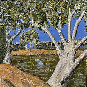 Jayde Chandler - Gregory Park waterhole