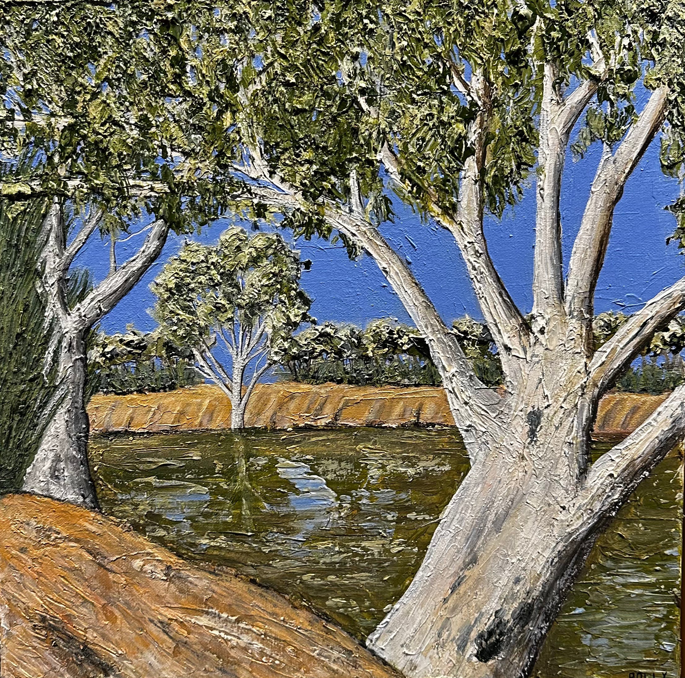 Jayde Chandler - Gregory Park waterhole