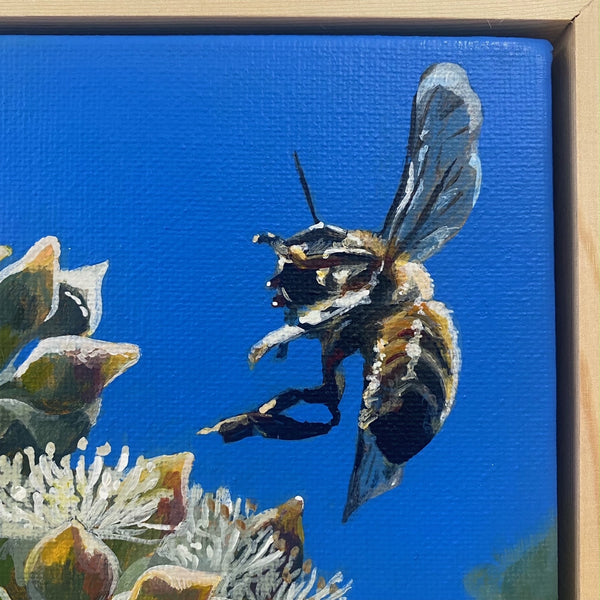 Sarah Abbott - Coming in to land. Value $250