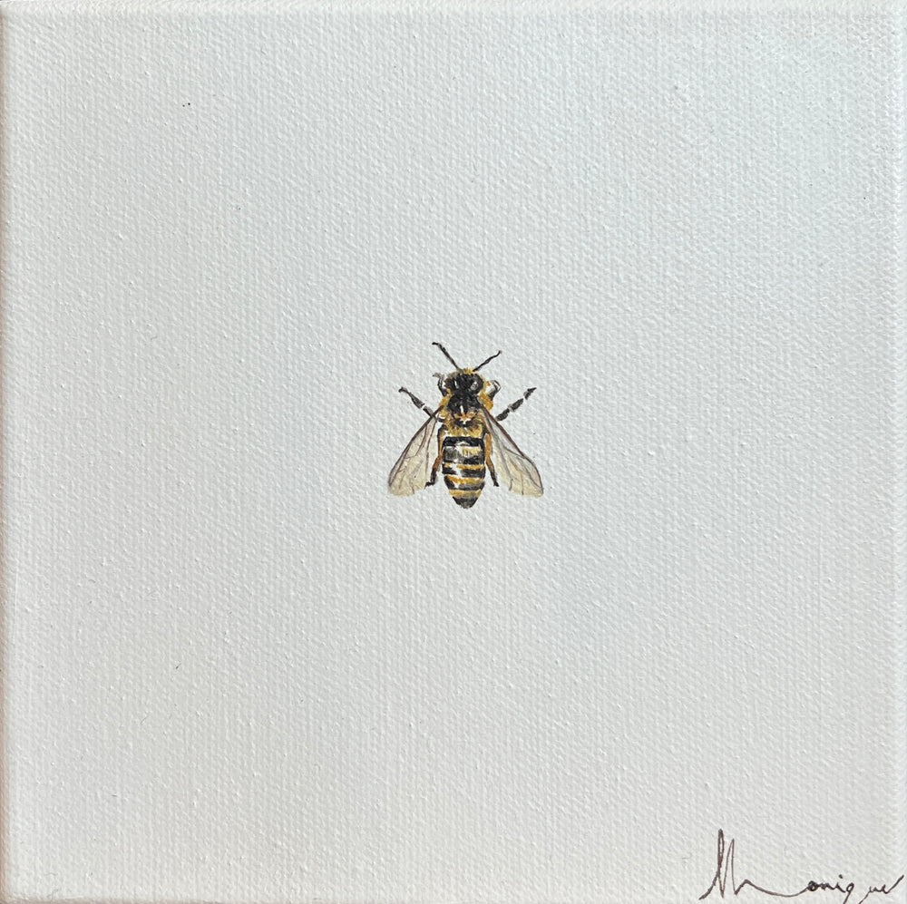 Monique Correy - Little Prawn