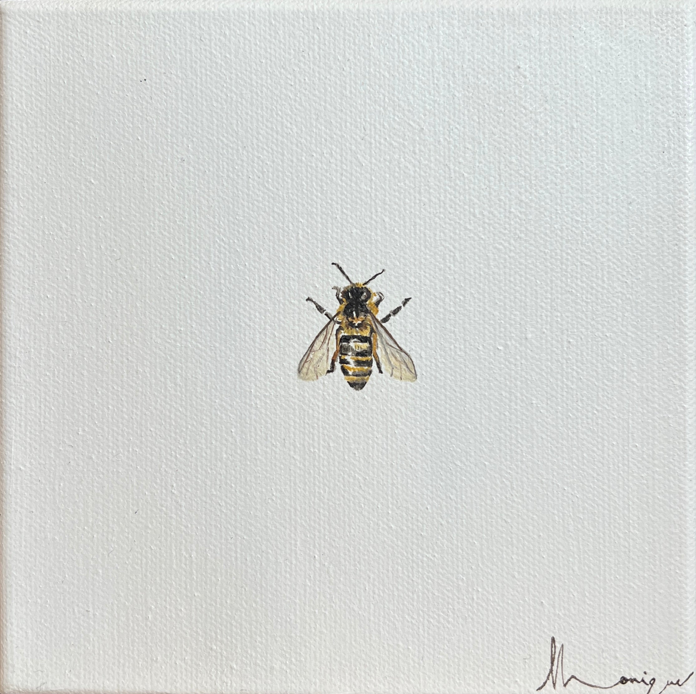 Monique Correy - Little Prawn