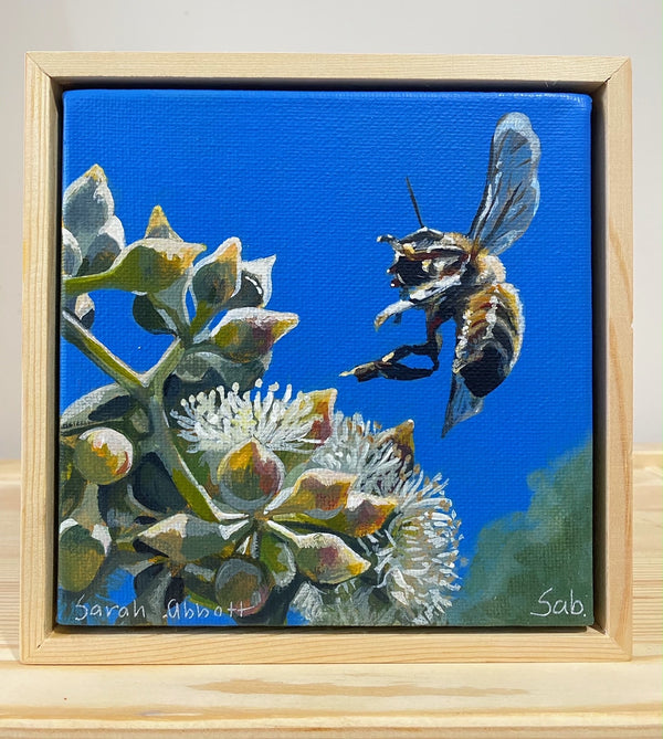 Sarah Abbott - Coming in to land. Value $250