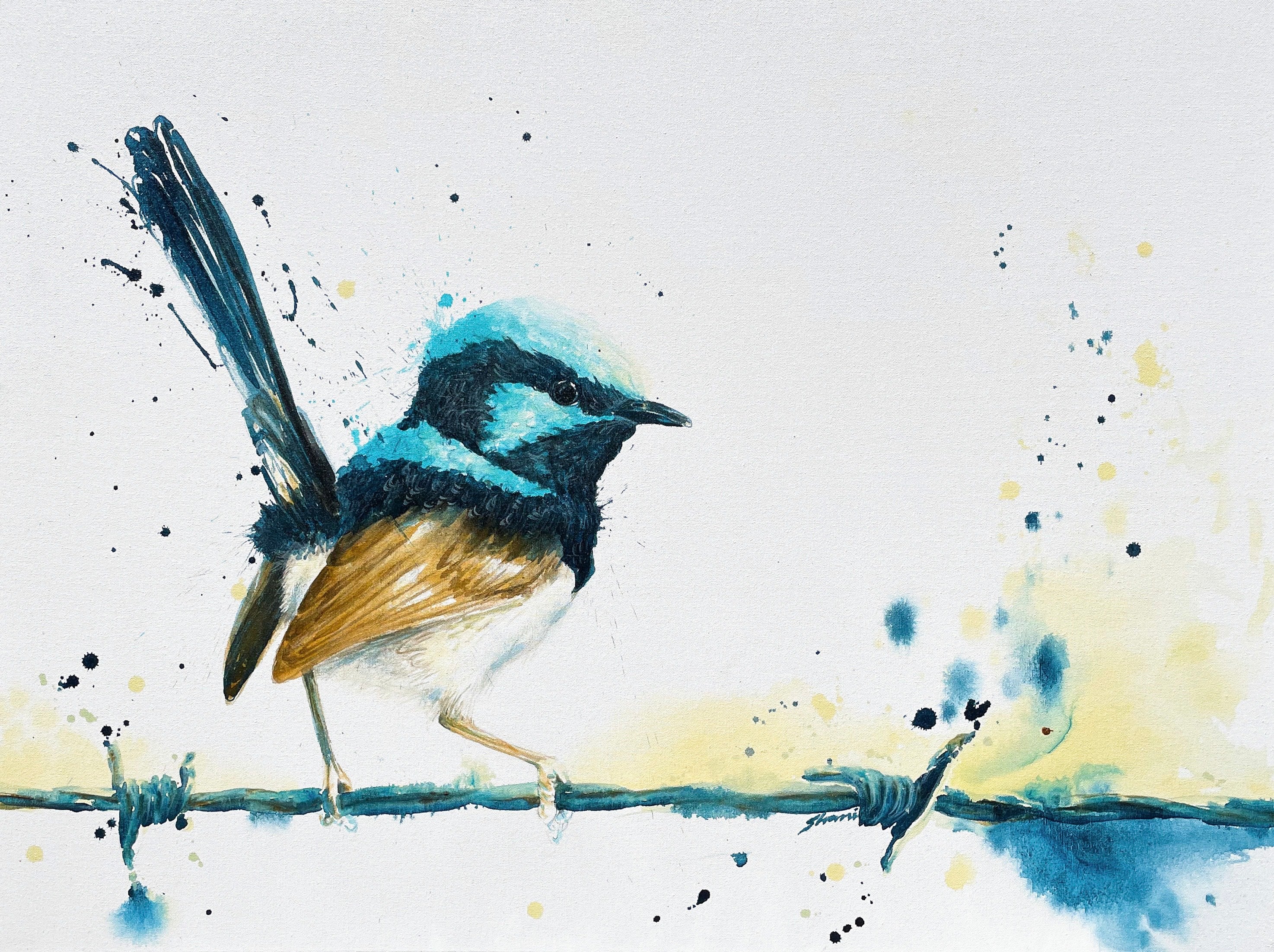 Shani White - Wren on a Wire