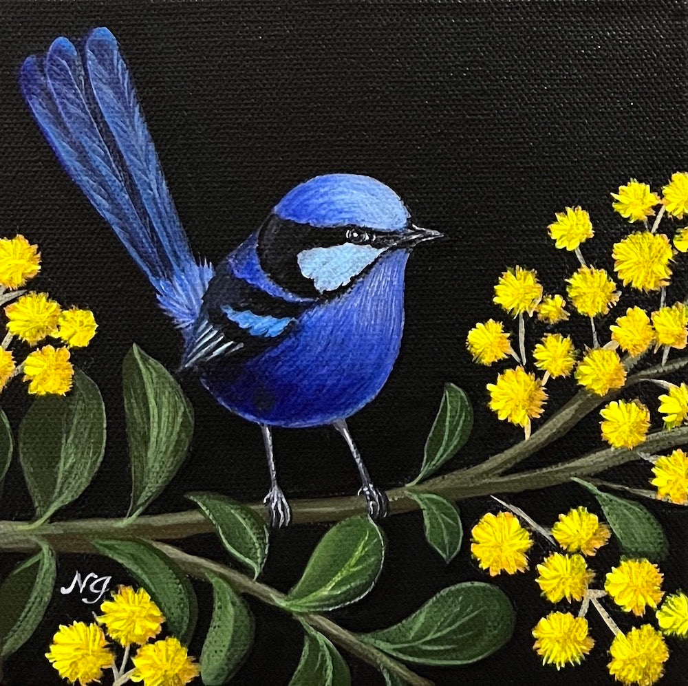 Natasha Junmanee - Splendid fairy wren with wattle flower
